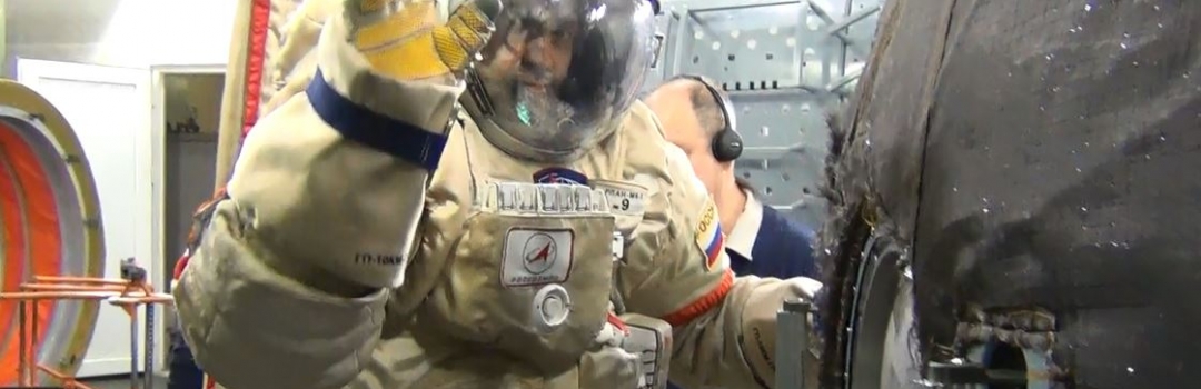 Marcos Palhares